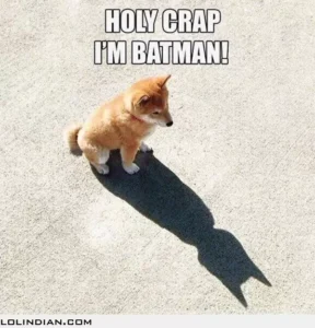 i-am-batman-puppy